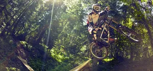 White Mtb Rider In Forest Wallpaper
