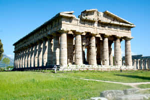 White Paestum Sunny Wallpaper