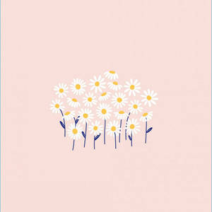 White Pastel With Daisies Wallpaper