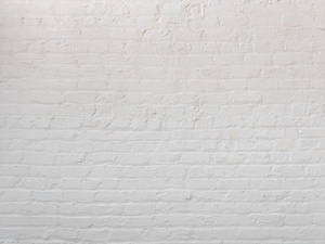White Pattern Brick Flemish Bond Wallpaper