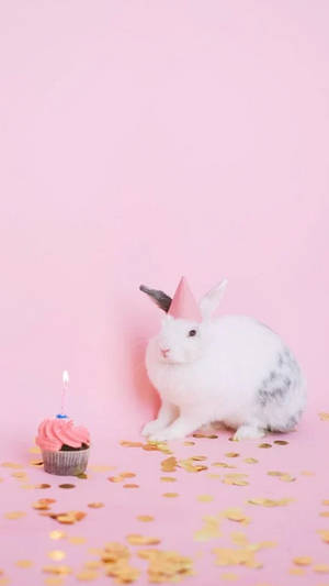 White Rabbit Birthday Wallpaper