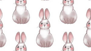 White Rabbit Cartoon Art Wallpaper
