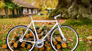 White Road Bike And Chopped Wood Wallpaper