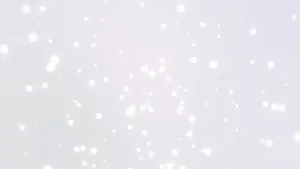 White Snowflakes Falling On A White Background Wallpaper