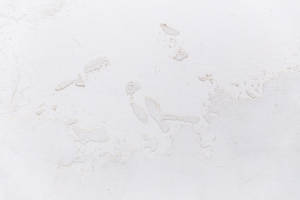 White Stucco Concrete Texture Wallpaper