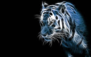 White Tiger Coolest Desktop Wallpaper
