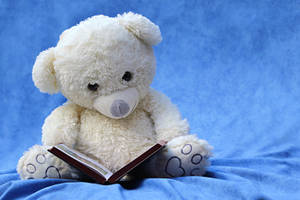 White Toy Bear Reading Book Wallpaper