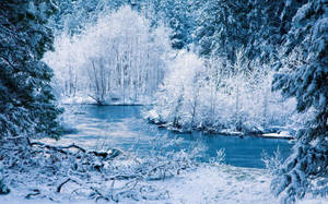 White Winter Riverside Wallpaper