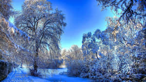 Whole New World Of Snow-laden Adventures Wallpaper