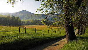 Wide Grass Field Within The Great Smoky Mountains Wallpaper