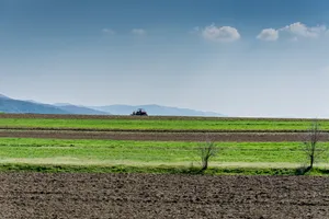 Wide Green Fields In Kosovo Wallpaper