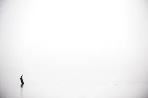 Wide Open Sea White Wallpaper