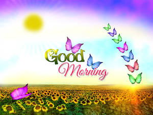 Widescreen Image About Good Morning On Nature Wallpaper High Resolution For Wallpaper