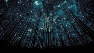 Widescreen Starry Night Sky Wallpaper
