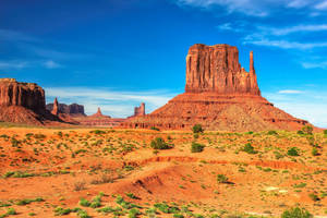 Wild Shrubs At Monument Valley Wallpaper