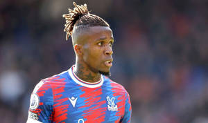 Wilfried Zaha Close Up Wallpaper