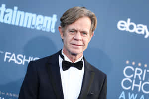 William H. Macy Poses On The Red Carpet At A Prestigious Event Wallpaper