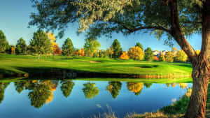 Willow Crest Golf Club With Scattered Trees Wallpaper