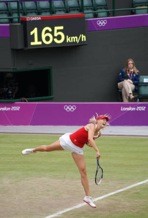 Wimbledon Champion Maria Sharapova Wallpaper