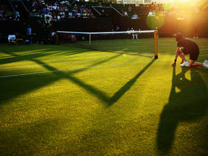 Wimbledon Tennis Field Sun Rays Wallpaper