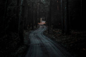 Winding Road Dark Forest Wallpaper