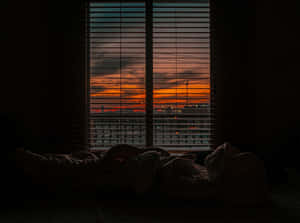 Window Blind And Sunset Wallpaper