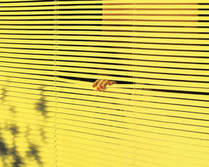 Window Blinds In Yellow Aesthetic Desktop Wallpaper