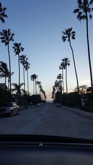 Window View In San Diego Iphone Wallpaper