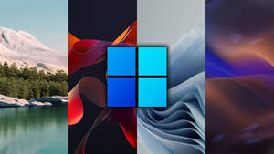 Windows 11 Plank Background Wallpaper