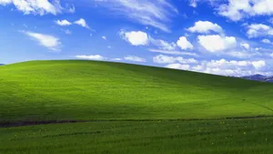Windows Xp Bliss Wallpaper