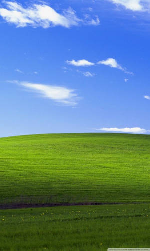 Windows Xp Portrait Bliss Wallpaper