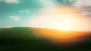 Windows Xp Sunlight Bliss Wallpaper