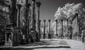 Windsor Ruins Mississippi Black And White Wallpaper