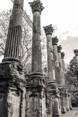 Windsor Ruins Mississippi Close Up Wallpaper