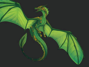 Wings Of Fire Sundew Wallpaper