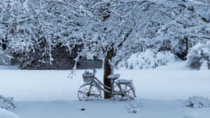 Winter Bicycle Snow Covered Scene4 K Wallpaper