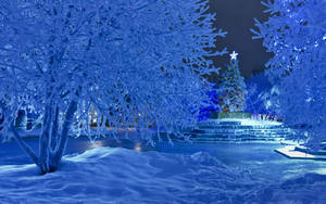 Winter Christmas Icy Snow Wallpaper