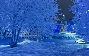 Winter Christmas Icy Snow Wallpaper