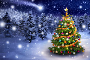 Winter Christmas Tree And Shooting Star Wallpaper