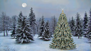 Winter Christmas Tree Under The Moon Wallpaper