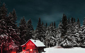 Winter House And Pine Trees Wallpaper