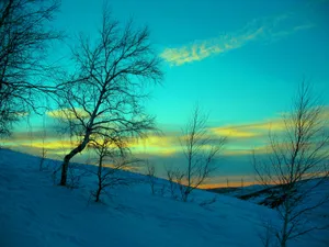Winter Landscape In February Wallpaper