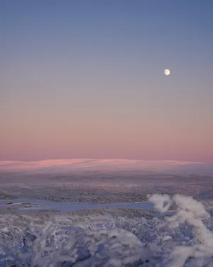 Winter Landscape Plain Hd Iphone Wallpaper