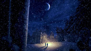 Winter Night Forest In Moonlight Wallpaper