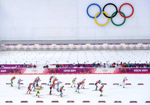 Winter Olympics Rink Wallpaper