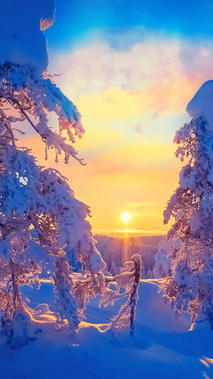 Winter_ Sunrise_ Amidst_ Snowy_ Forest_4 K_ U H D Wallpaper