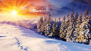 Winter Sunrise Hd Desktop Wallpaper
