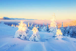 Winter Wonderland Amazing View Desktop Wallpaper