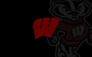 Wisconsin Badgers Logo On Football Field Wallpaper