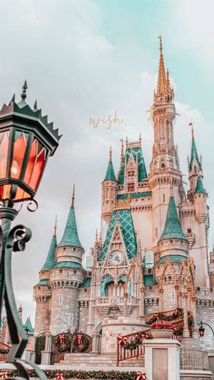Wish In Disney World Wallpaper